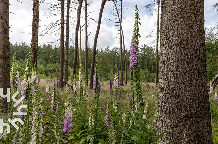 Modern vakantiehuis in Drenthe voor 10 personen