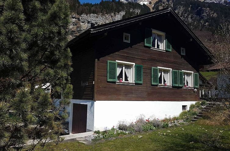 Appartement Chalet Fluegärtli