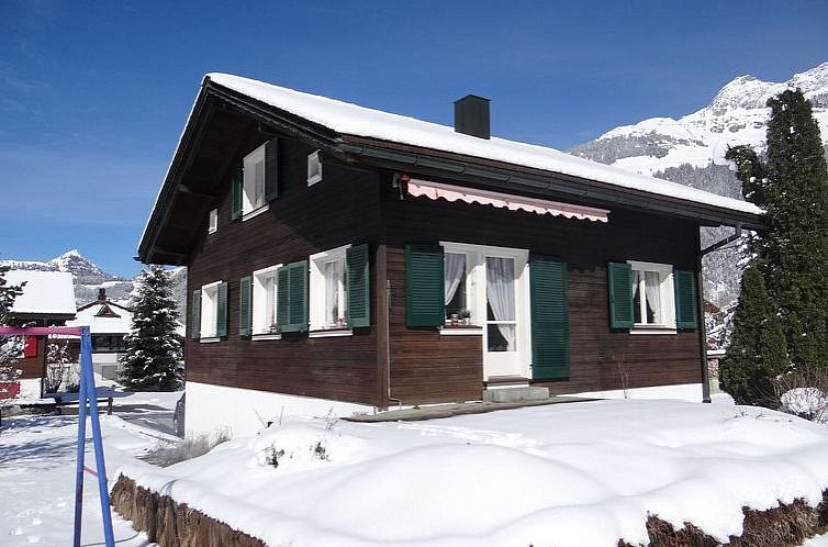 Appartement Chalet Fluegärtli