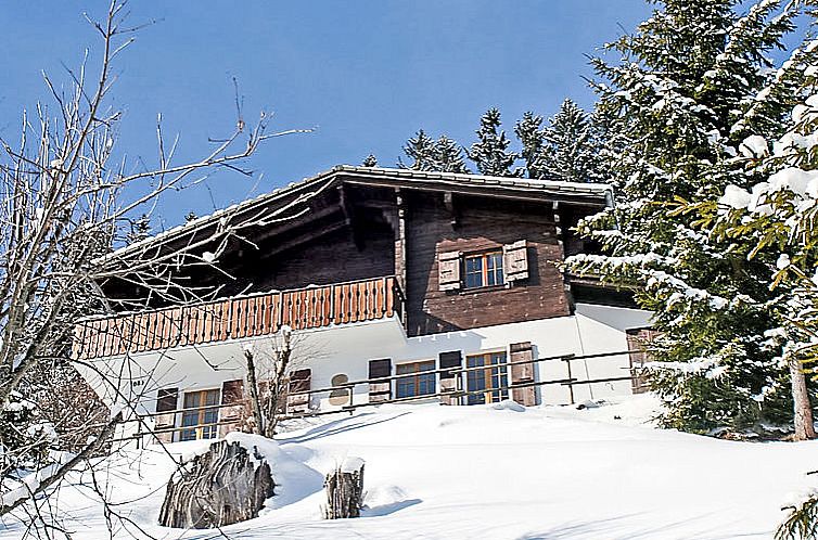 Vakantiehuis Chalet Les 3 Marmottes