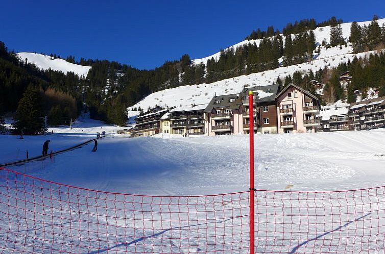 Vakantiehuis Chalet Les 3 Marmottes