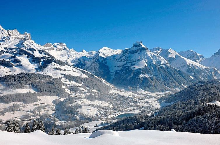 Appartement Villa Alpenblick Wolfenschiessen