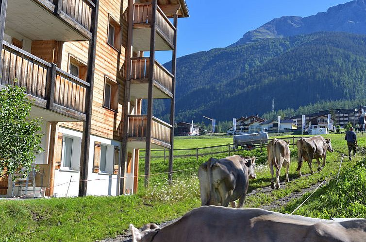 Appartement Surses Alpin