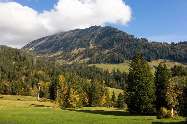 Appartement Ferienhaus Bergblick