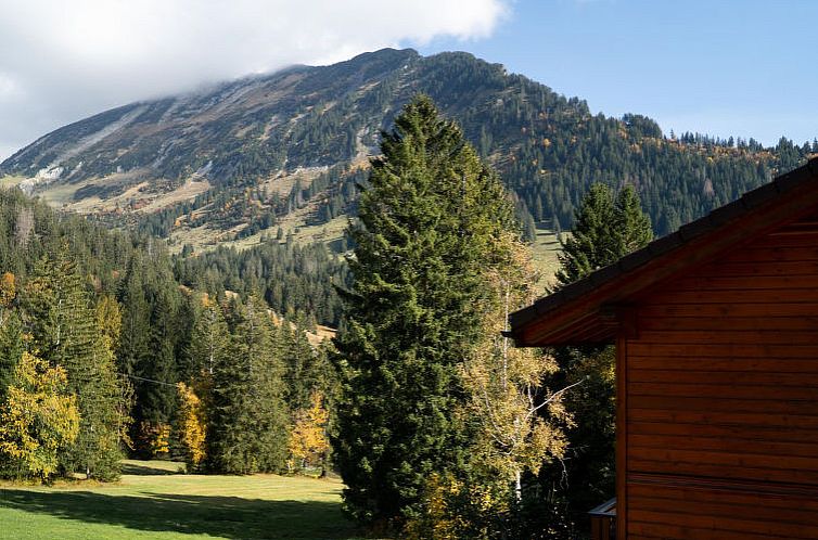 Appartement Ferienhaus Bergblick