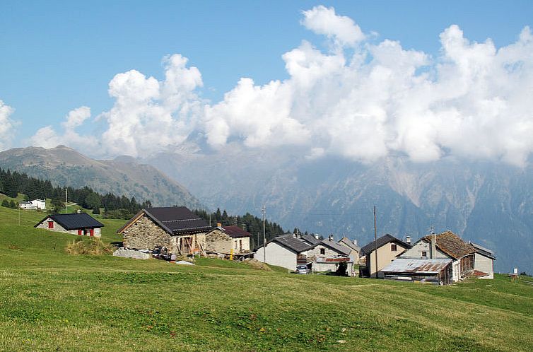 Appartement Alpina