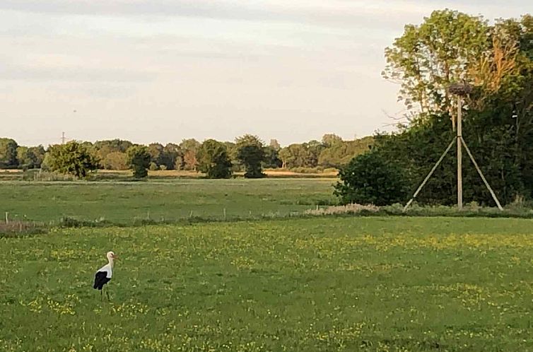 Schitterend gelegen 4 persoons fins vakantiehuisje in