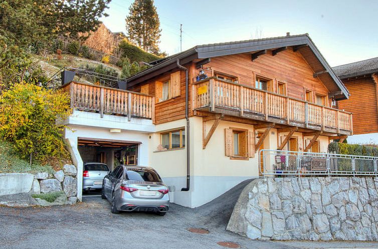 Vakantiehuis Chalet le Dahu