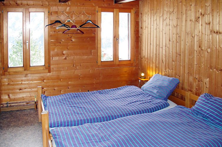 Appartement Chalet Anthamatten