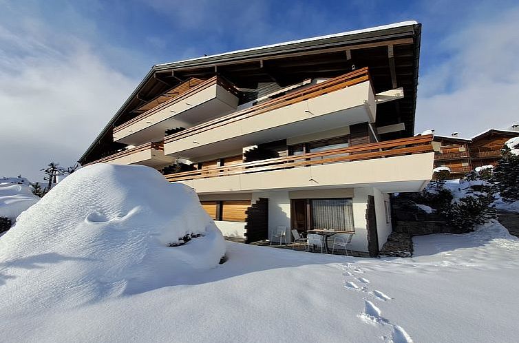 Appartement Courtillière 4