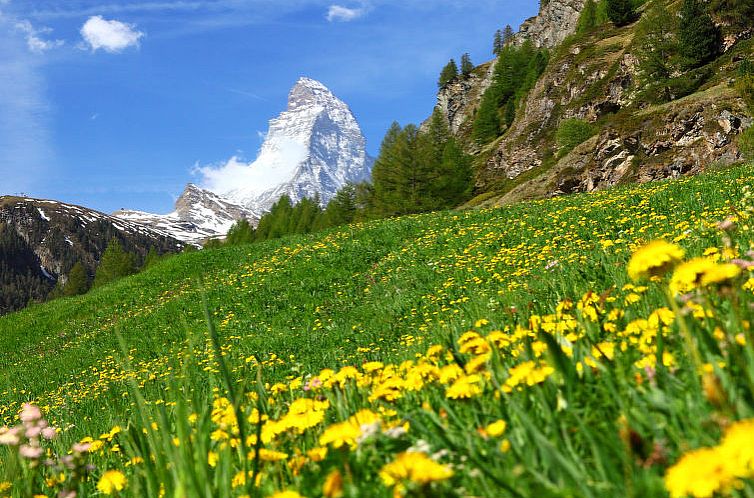 Appartement Mont-Blanc