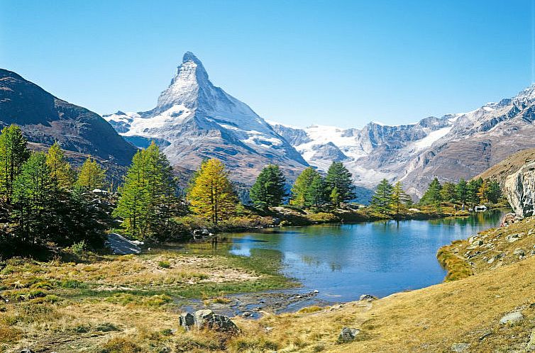 Appartement Mont-Blanc