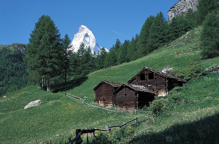 Appartement Mont-Blanc