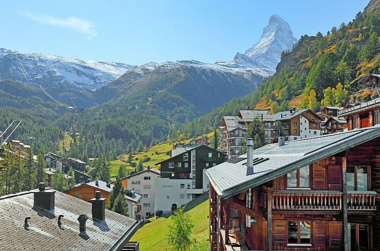 Appartement Lauberhaus