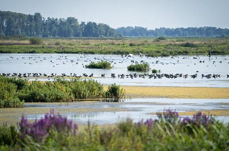 Huisje in Matsloot