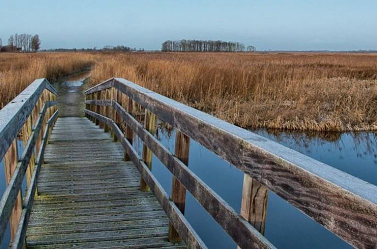 Huisje in Matsloot