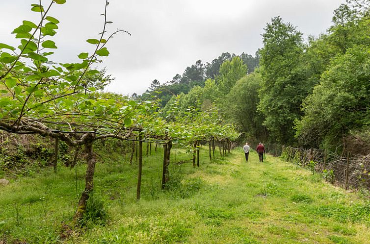 Vakantiehuis in Ribas, Celorico de Basto