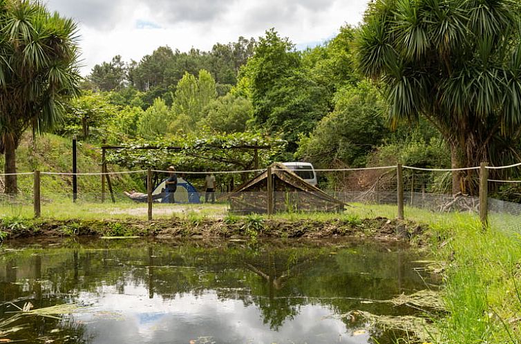 Vakantiehuis in Ribas, Celorico de Basto