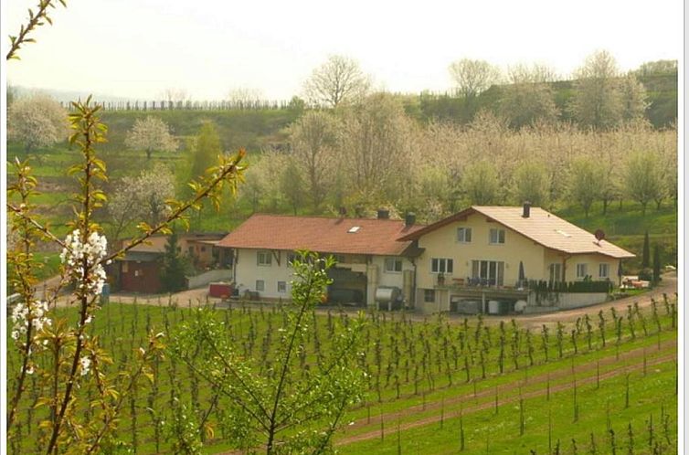 Weingut Ringwald