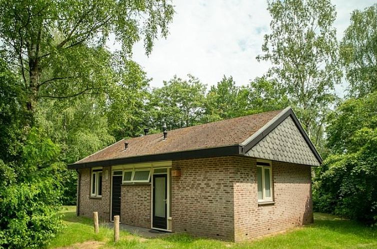 Aelderholt | 4-persoons bungalow | 4CE