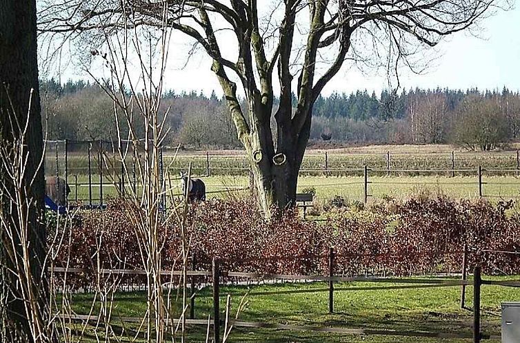 Groepsaccommodatie voor 18 personen in Exloo