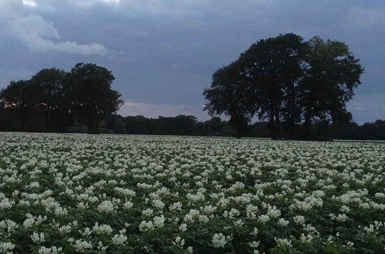 Mooi 2 persoons particulier vakantiehuis in Exloo - Drenthe