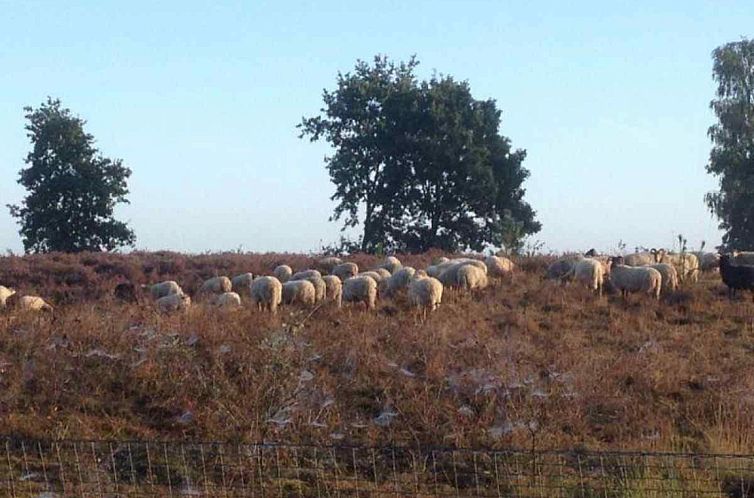 Mooi 2 persoons particulier vakantiehuis in Exloo - Drenthe