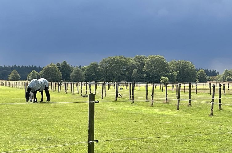 Mooi 2 persoons particulier vakantiehuis in Exloo - Drenthe