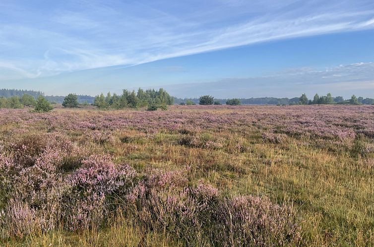 Mooi 2 persoons particulier vakantiehuis in Exloo - Drenthe