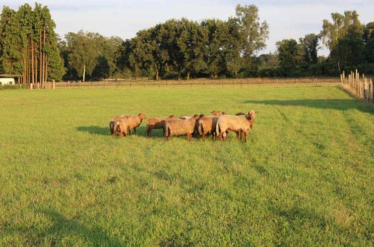 Mooi 2 persoons particulier vakantiehuis in Exloo - Drenthe