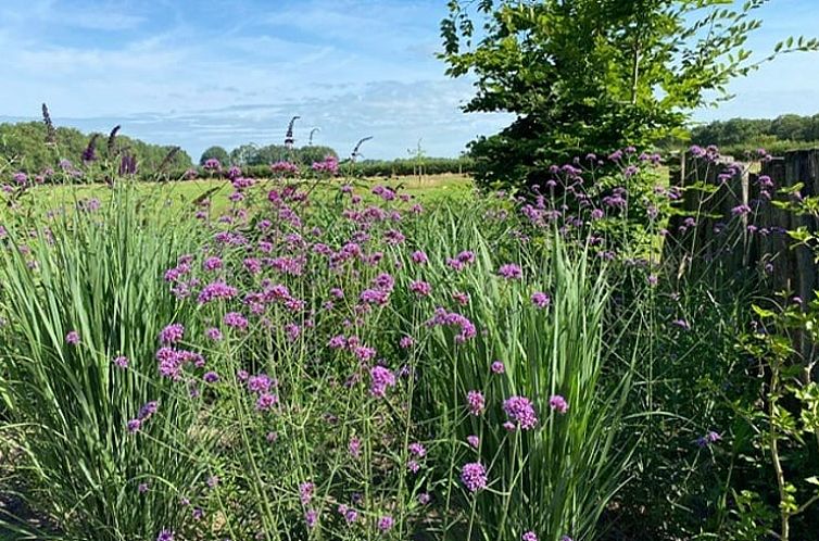 Huisje in Dalerveen