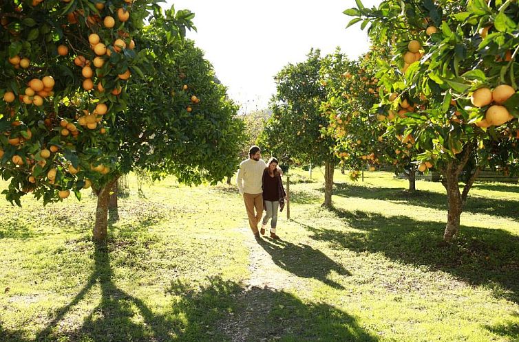 Herdade da Matinha Country House & Restaurant