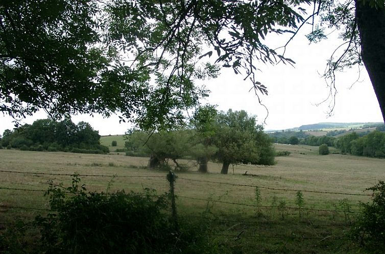 La Pomme d'Or