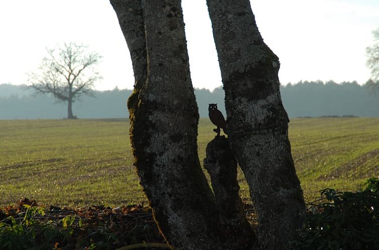 Huisje in Maâtz