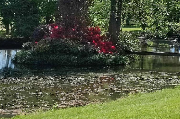 Huisje in Coevorden