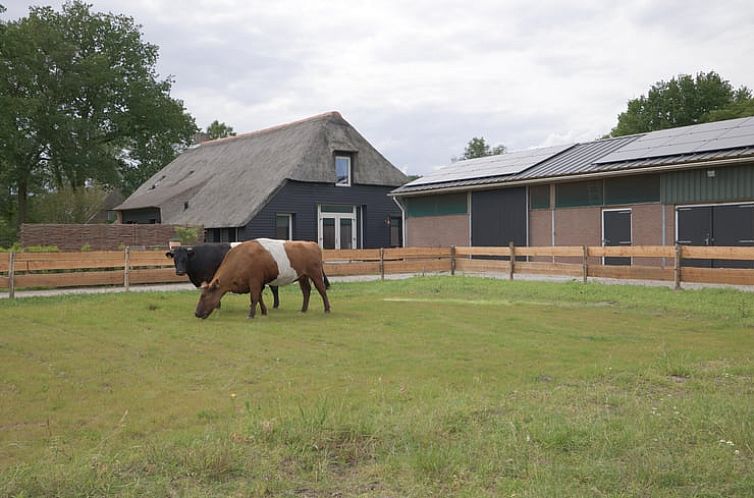 Huisje in Benneveld