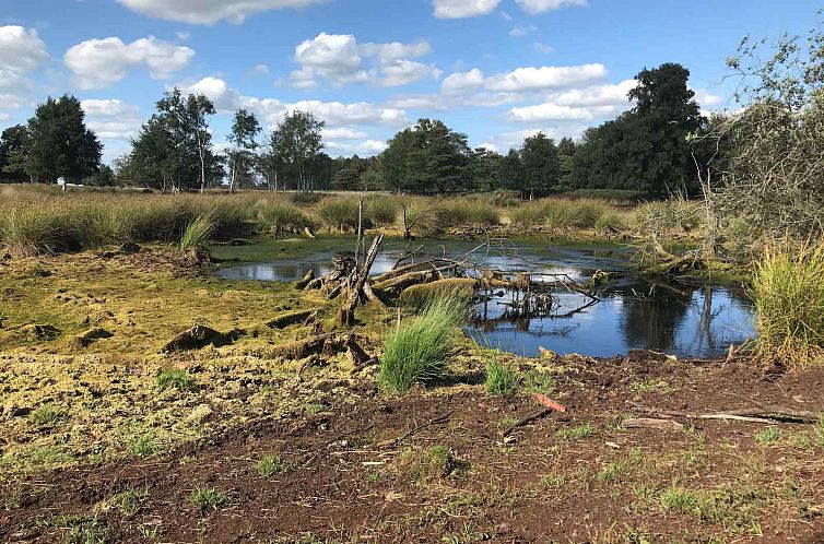 Uniek 4 persoons vakantiehuis tussen de bomen met weids