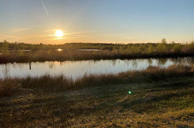 Prachtig 4 persoons vakantiehuis tussen de bomen met weids