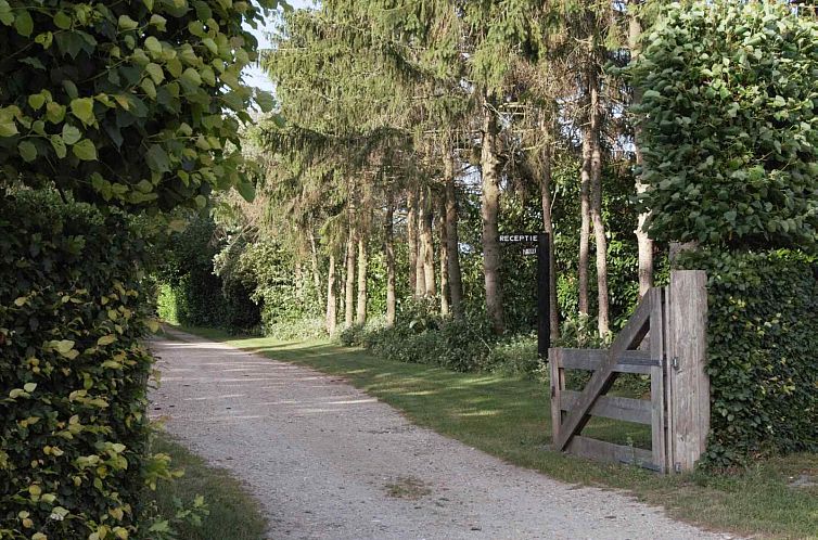 Prachtig 4 persoons vakantiehuis tussen de bomen met weids