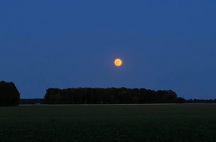 Huisje in Odoornerveen