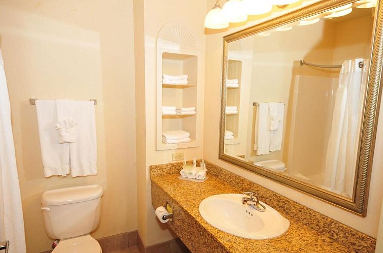 Holiday Inn Express Hotel & Suites Urbana-Champaign-U of I A