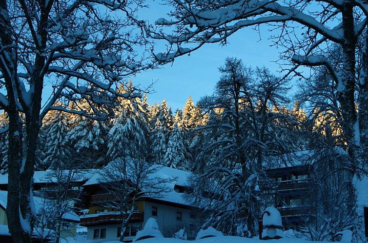 Gasthof Schwarzwaldtanne