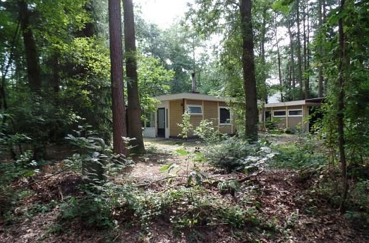 Leuke 4 persoons bungalow op rustige locatie in het bos in