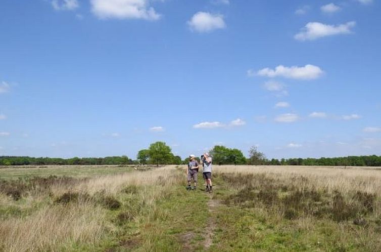 Leuke 4 persoons bungalow op rustige locatie in het bos in