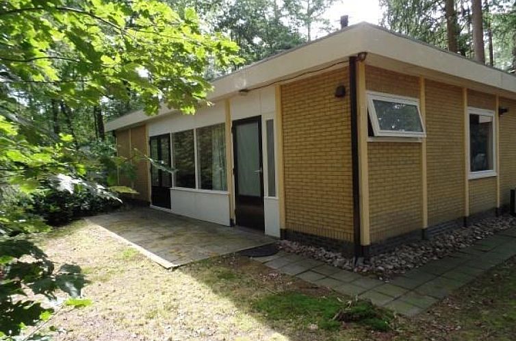 Leuke 4 persoons bungalow op rustige locatie in het bos in