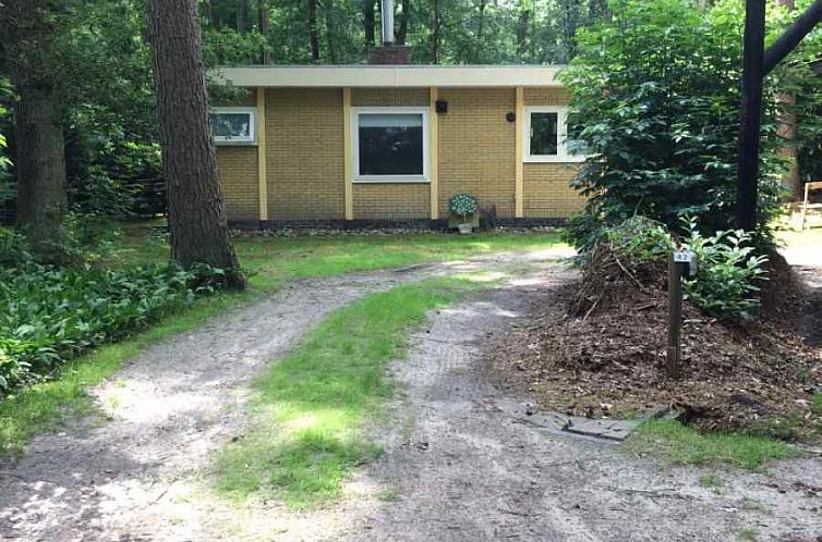 Leuke 4 persoons bungalow op rustige locatie in het bos in