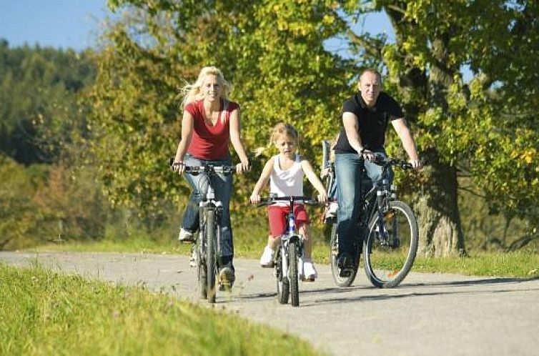 Leuke 4 persoons bungalow op rustige locatie in het bos in