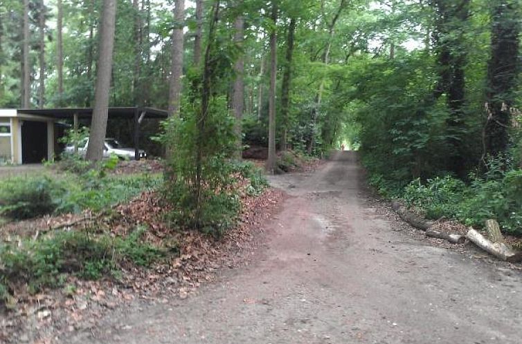 Leuke 4 persoons bungalow op rustige locatie in het bos in