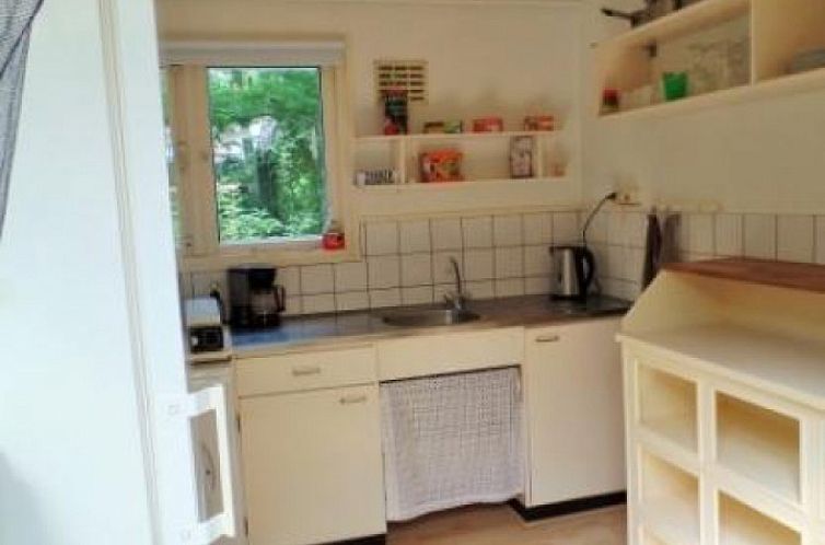 Leuke 4 persoons bungalow op rustige locatie in het bos in