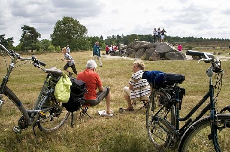 Leuke 4 persoons bungalow op rustige locatie in het bos in